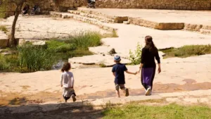 NRI in Family cases in India